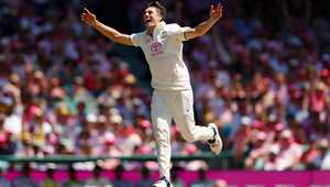 在开局阶段 在开局阶段