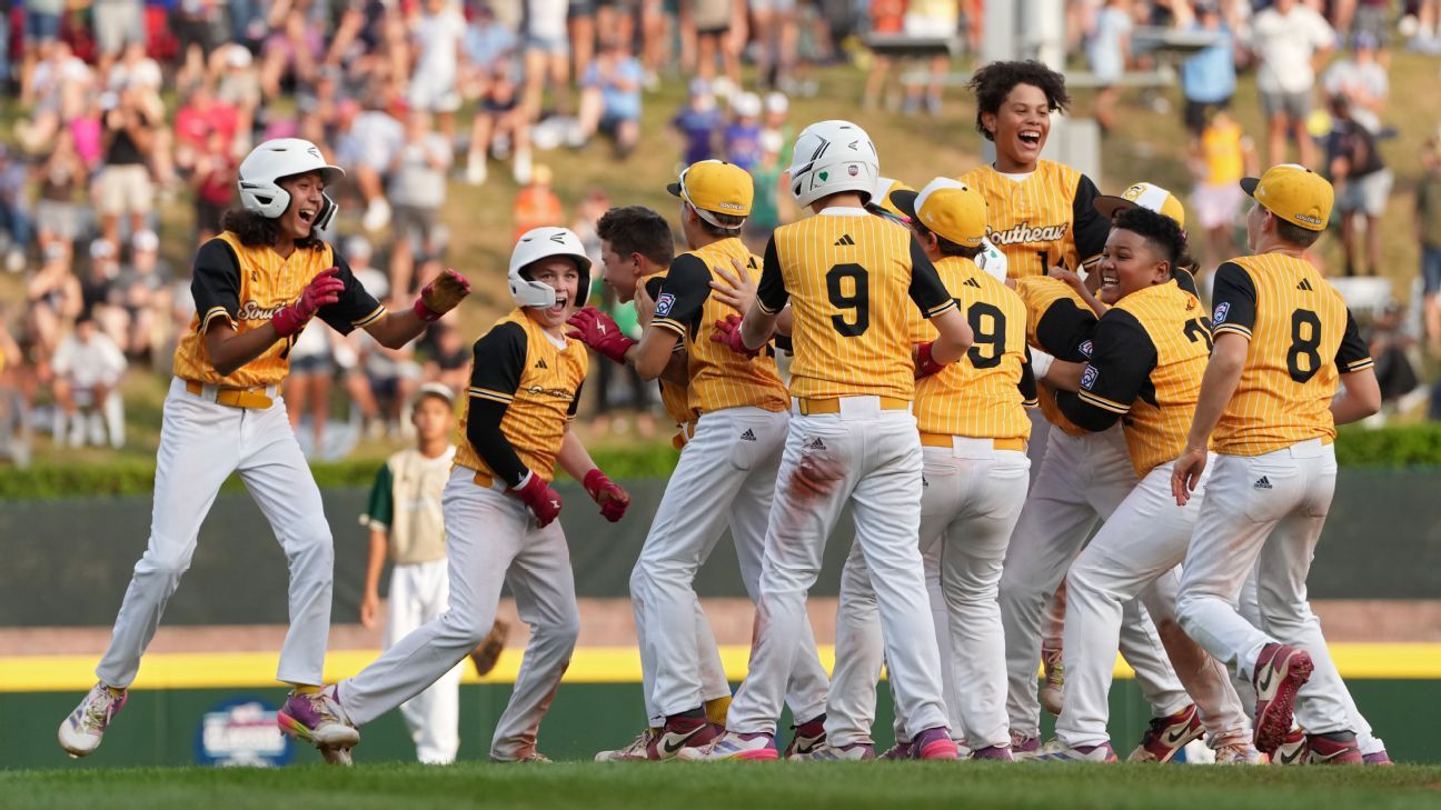 温和的管理 温和的管理